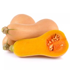 Back To Nature Seed Company Butternut Squash - Seeds - Organic - Non Gmo - Heirloom Seeds – Vegetable Seeds  - 100 Seeds
