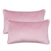 Home Beyond & HB design 2-Pack Velvet Throw Pillow Covers,