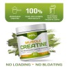 Mfl Creatine Monohydrate Micronizada 5 G Por Porción