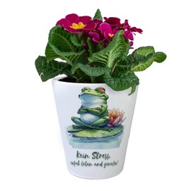 Frog on Water Lily Flower Pot with Saying Kein Stress einfach Leben und genießen Tierischer Freund Funny Sitting Frog in the Lake - Wasser Fröhlichkeit statt Stress