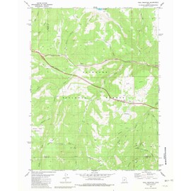 YellowMaps Trail Mountain UT topo map, 1:24000 Scale, 7.5 X 7.5 Minute, Historical, 1981, Updated 1981, 26.8 x 21.8 in - Polypropylene
