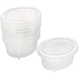 SKATER Hard Baby Food Seal Container, Medium, 5P, Basic, Oval