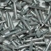 SISI UK® 50 x Clout/Felt/ROOF Nails GALVANISED SHED Large Head