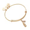 Alex and Ani Champagne Bangle