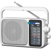 YOWGULF AM FM Radio with Best Reception,Blue