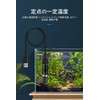 Tropical Fish Heater, Aquarium Heater, 10W, Aquarium Heater, USB Mini