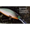 Rapala Shadow Rap Lure with Two No. 8 Hooks, 0.7