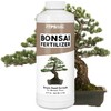 Bonsai Fertilizer for All Bonsai Trees, Great for Root Soaks,
