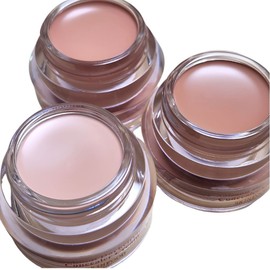Skinfood Salmon Concealer 10g [No. 0 Light No. 1 Blooming Beige] No. 2 Salmon Beige / 스킨푸드 연어컨실러 10g [0호 라이트 1호 블루밍 베이지] 2호 살몬베이지
