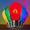 Wintergreen Lighting FlexFilament S14 LED Edison Light Bulbs Bistro Lights,