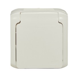 Legrand 782373 Forix Moisture-proof Surface-Mounted Switch Combination (Horizontal). IP44 Socket with with Lid and 2 Pin Switch, Mounts on the wall, Grey