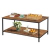 SENIG 2-Tier Coffee Table with Storage Shelf for Living Spaces,