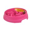Fancy Pets Plato PLASTICO ALIMENTACION Lenta