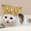 Pet Shower Cap Waterproof Reusable Bath Ear Covers with Adjustable