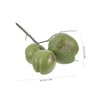 Holibanna 1 Bunch Artificial Coconut Jungle Decorations Fake Coconuts Decoration