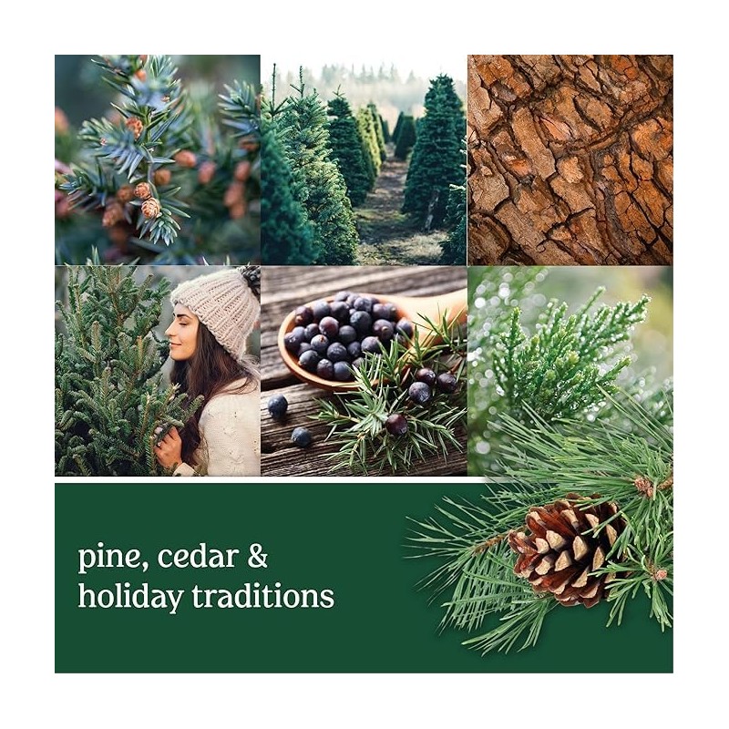 Yankee Candle Paper Car Jar, Balsam & Cedar, 1 CT