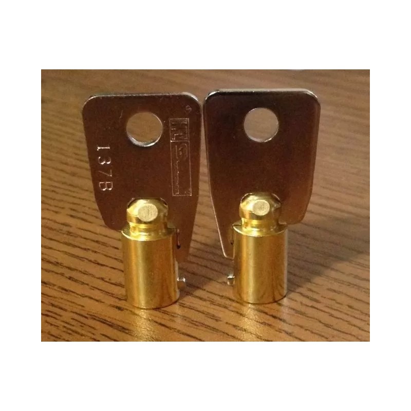 Unbranded 2 HARLEY DAVIDSON BARREL TUBULAR KEY BLANKS also Vending