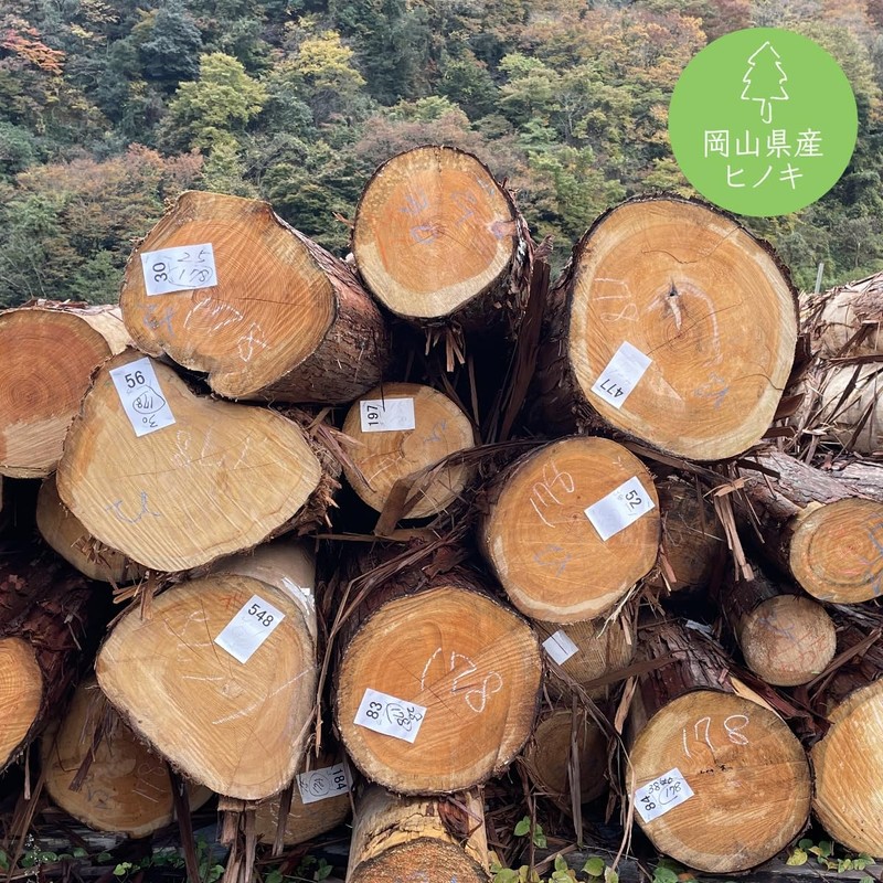 TONARINO (2) Natural Cypress Deodorizer/Dehumidifier, Can be Used Repeatedly, Clothes