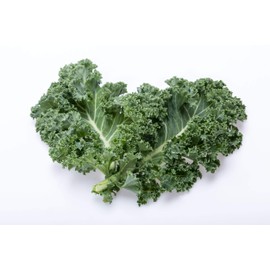 Kale, half-height, green krauser maxi pack, 25 g