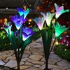 Outdoor Solar Lights – Decorative LED Flowers – Pack of