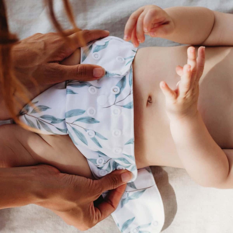 EcoNaps 2.0 Modern Cloth Nappy, Olive Leaf