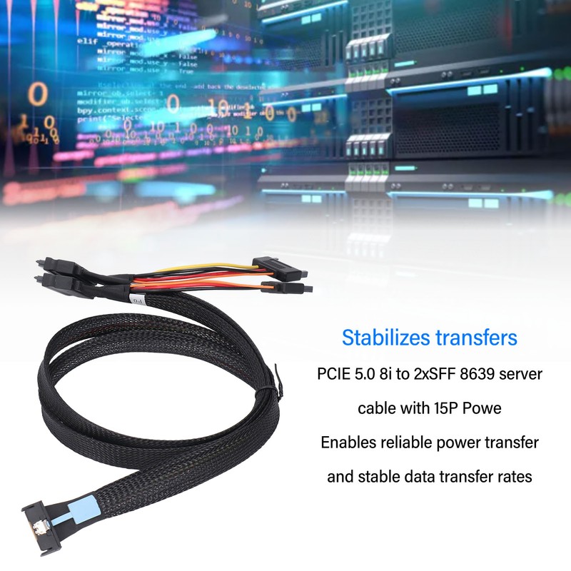 8i 74P to 2xSFF 8639 with 15P Powe Cable Professional