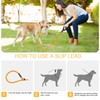Slip Lead 6 FT for Small and Medium Dogs,Puppy Dog