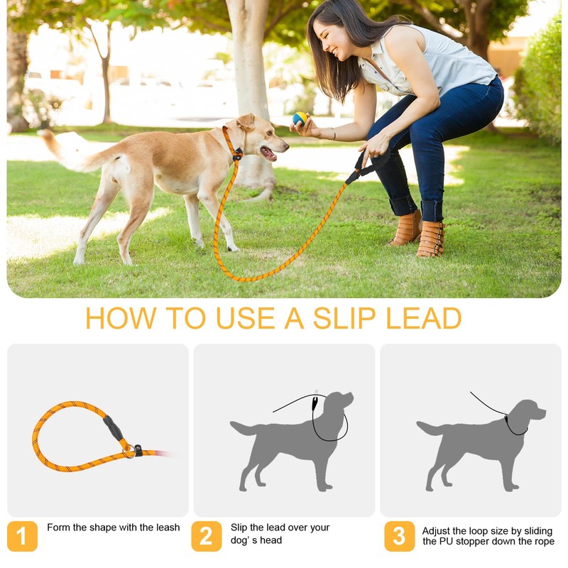 Slip Lead 6 FT for Small and Medium Dogs,Puppy Dog