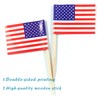 QQSD Hawaii Toothpick Flag Small Mini Cupcake Topper Flags, 100