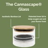 Cannascape Glass Herb Stash Jar Storage Canister - Airtight Container