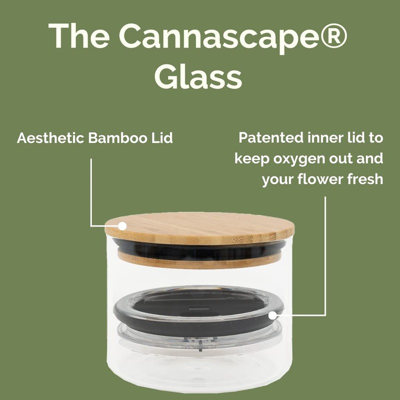 Cannascape Glass Herb Stash Jar Storage Canister - Airtight Container