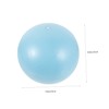 OHPHCALL 2pcs Professional Yoga Ball Small Ball Home Workout Core