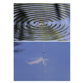 Imakatsu #S-234 Elite Claw High Float (Eco-Compatible), 3 inch, Clear Green Pumpkin Blue Pearl Berry