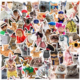 116 PCS Funny Cat Stickers, Cute Cat Sticker for Laptop Scrapbook, Water Bottles, Guitar, Suitcase Phone, Snowboard, Meme Cat Sticker Waterproof Vinyl for Water Bottle
