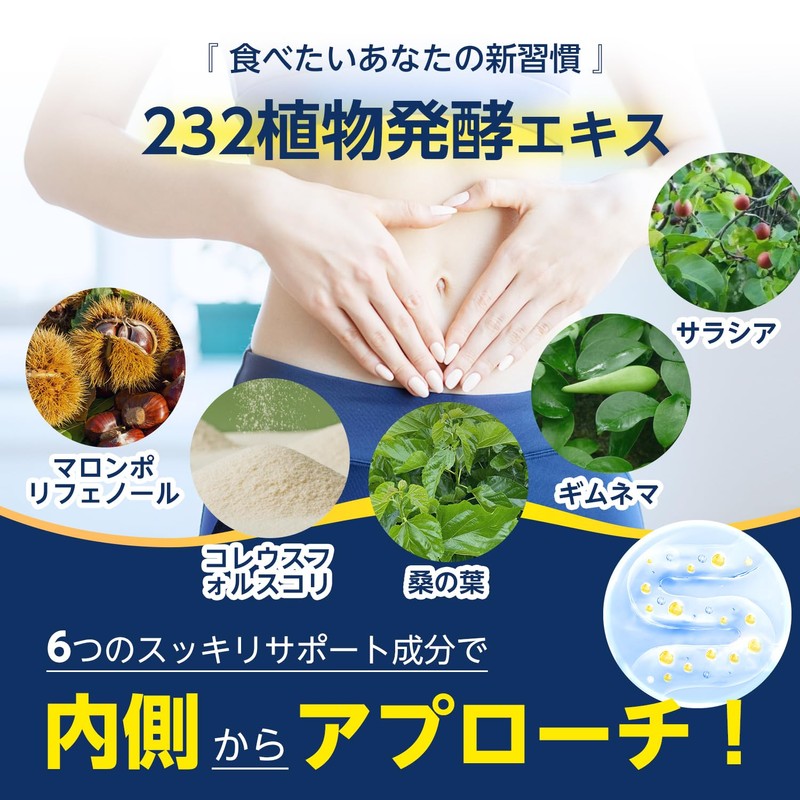 ISDG 食スルー酵素 Gold 酵素 野菜 サプリメント 232種類の天然野菜と果物 マロンポリフェノール 桑の葉 コレウスフォルスコリ