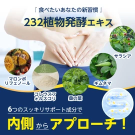 ISDG 食スルー酵素 Gold 酵素 野菜 サプリメント 232種類の天然野菜と果物 マロンポリフェノール 桑の葉 コレウスフォルスコリ ギムネマ・シルベスタ サラシア 配合 ダイエット サプリメント 食物繊維 消化酵素 国内製造 120粒 30日分(10個セット)