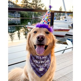 Dog Birthday Bandana, Birthday Boy Puppy Bandana for Small Medium Large Dogs