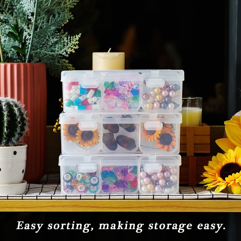 Storage Box with Lid, Small, Plastic Clear Box with Hinged