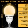 E12 A19 100W Equivalent LED Candelabra Light Bulbs 2700K Warm