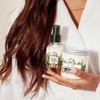 Herbal Essences Bio: Renew Argan & Aloe Oil Mist cabello,