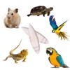 12 Pieces Cuttlefish Bone for Birds and Tortoises, Cuttlebone for
