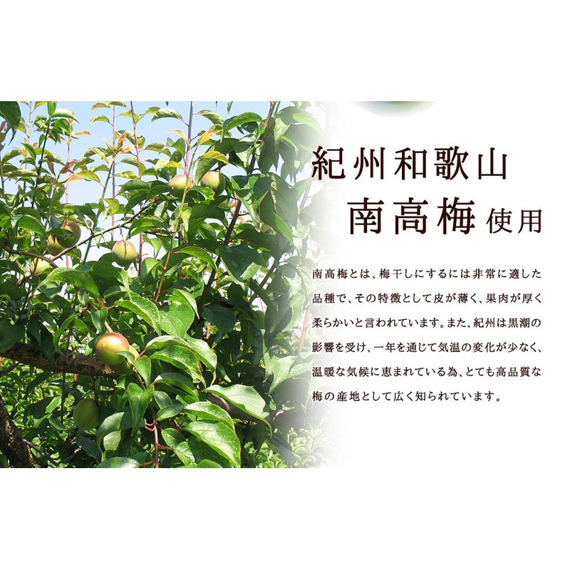 シードコムス 梅肉エキス サプリメント クエン酸 りんご酸 ムメフラース (約12ヶ月分 360粒)