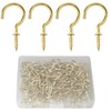 Biaungdo 120 Pack 1/2 Inch Small Screw Hooks with Plastic