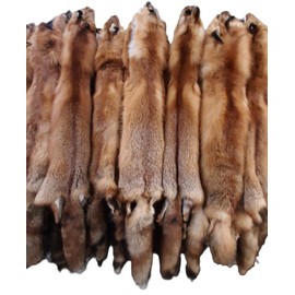 Dakotaline Furs Red Fox Pelt/Hide : (Imperfect Grade) : 42"-48" Length - Genuine Real Fur Pelt Tanned for Display, Decoration, Sewing, Garment, Craft
