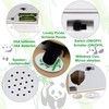 Electronic Panda Money Box for Children and Adults - Money