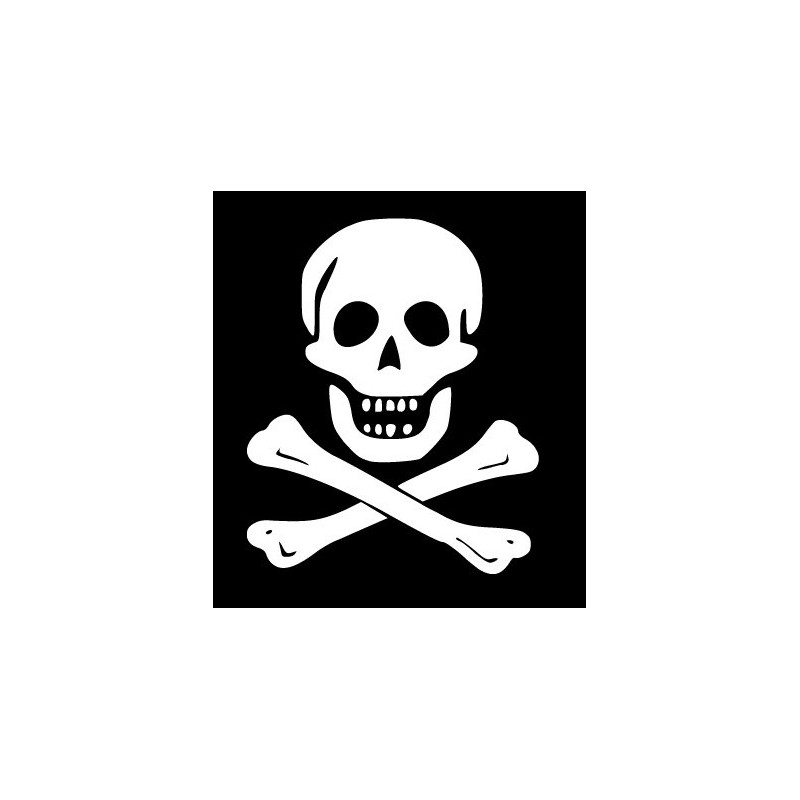 Skull and Bones Pirate Logo Vinyl Decal - White Window