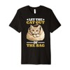 Let The Cat Out Of The Bag Idiom Expression Sarcasm