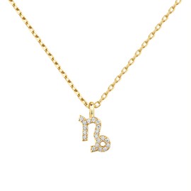 PAVOI 14K Yellow Gold Plated CZ Astrology Necklace Astrology Necklace | Astrology Gifts For Women | Zodiac Necklaces | Capricorn Necklace
