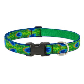 LupinePet Originals 1" Tail Feathers 25-31" Adjustable Collar for Extra Large Dogs