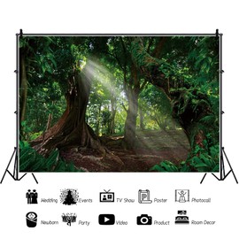 Ttincceer 150 x 100 cm Forest Background Giant Old Tree Early Morning Sunshine Photography Background Tropical Rainforest Natural Landscape Photography Background Studio Photography Props